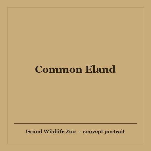 Common Eland portrait