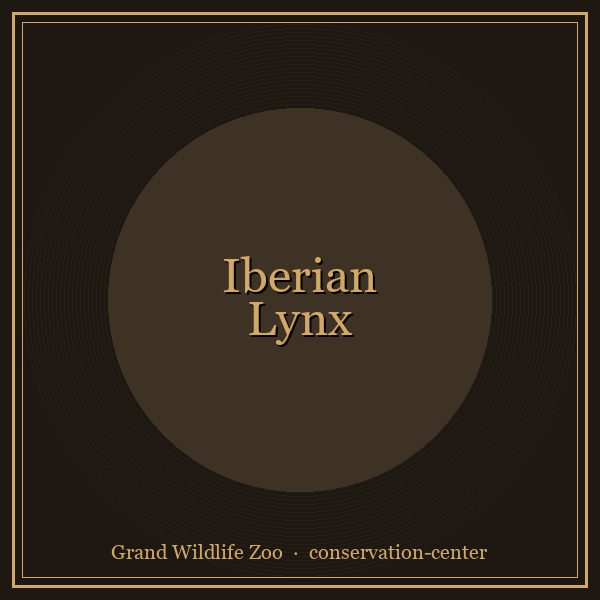 Iberian Lynx portrait