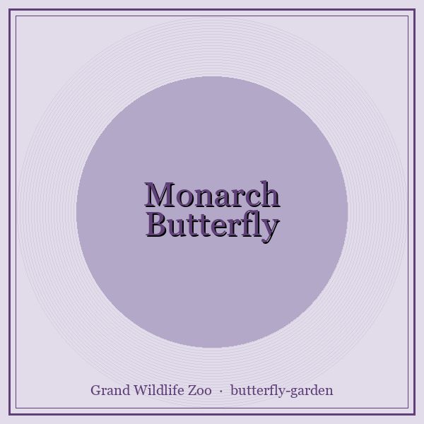 Monarch Butterfly portrait