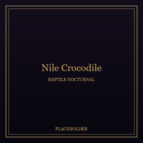 Nile Crocodile portrait