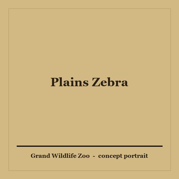 Plains Zebra portrait