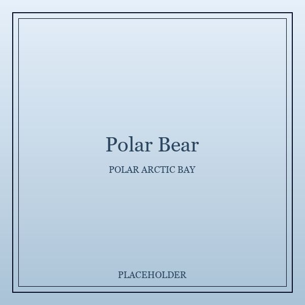 Polar Bear portrait
