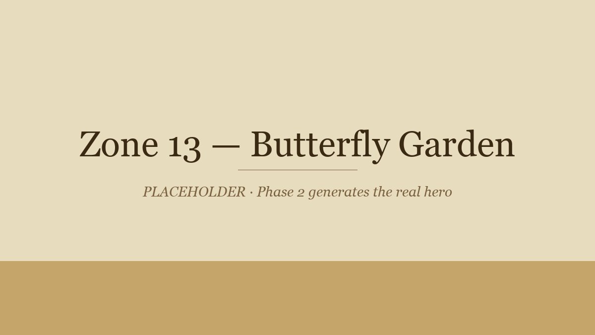 Butterfly Garden hero illustration